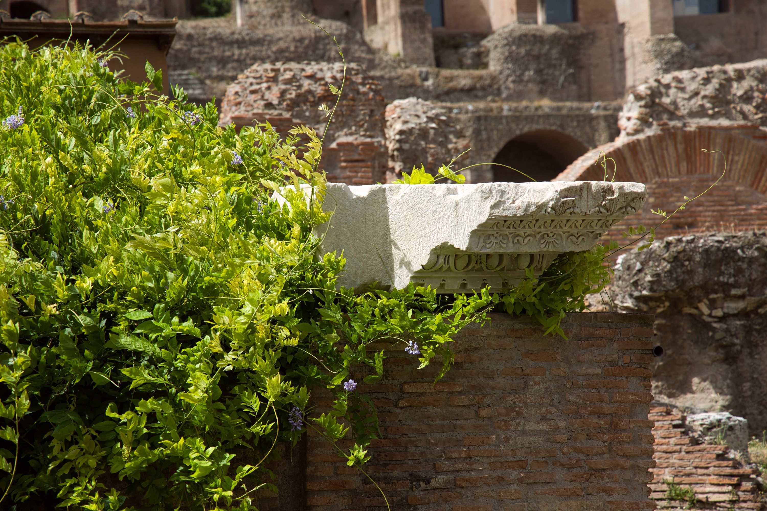 126 a scene in the roman forum