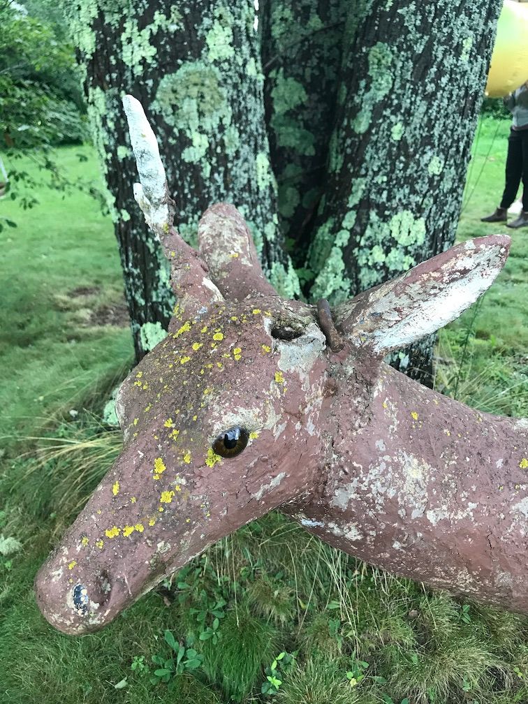 detail of a lichen-spotted deer head, missing one antler, in front of a lichen-spotted tree trunk. I loved the way the flaking paint matched the lichen and moss that was growing on it, just like other trees and rocks in garden.