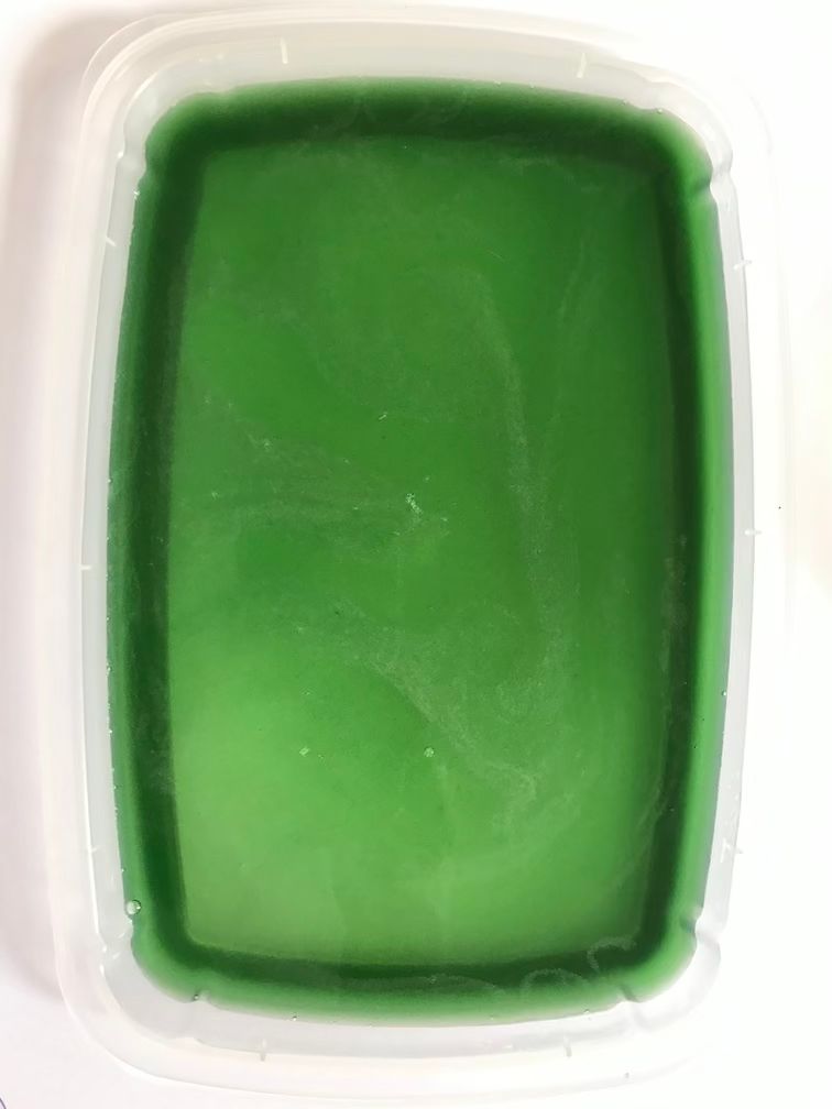 gelatine bioplastic with spirulina powder incorporated, very green