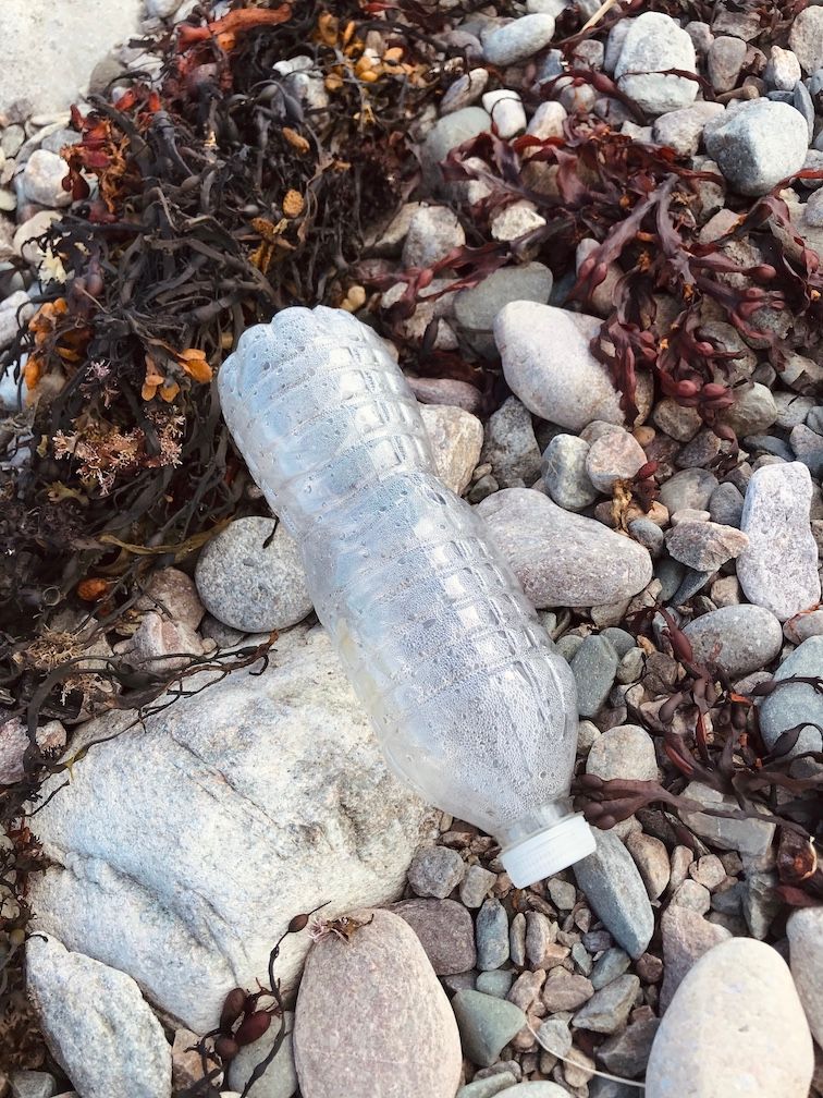 lost plastic bottle on the shoreline