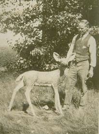 Charlie and one of his deer