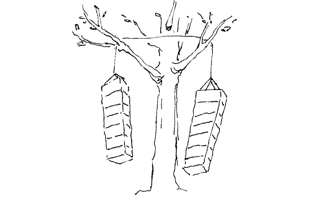 sketch of the two towers, connected by string together in a tree