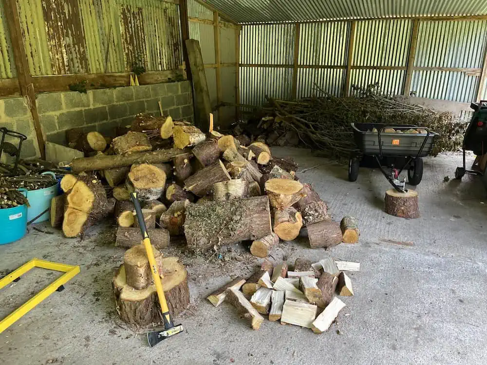 tree-wood-not-chopped