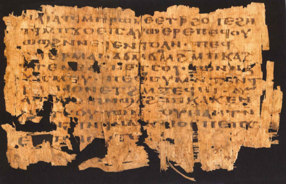 Recently Emerged Coptic Manuscripts of Dubious Origins: A Working List | Variant Readings