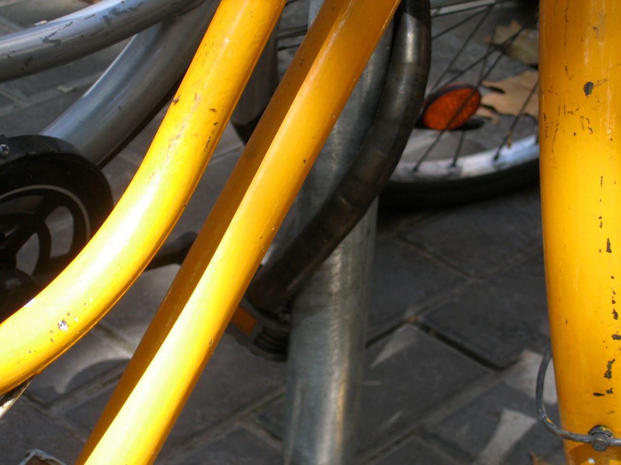 yellow-bike 1071435261 o