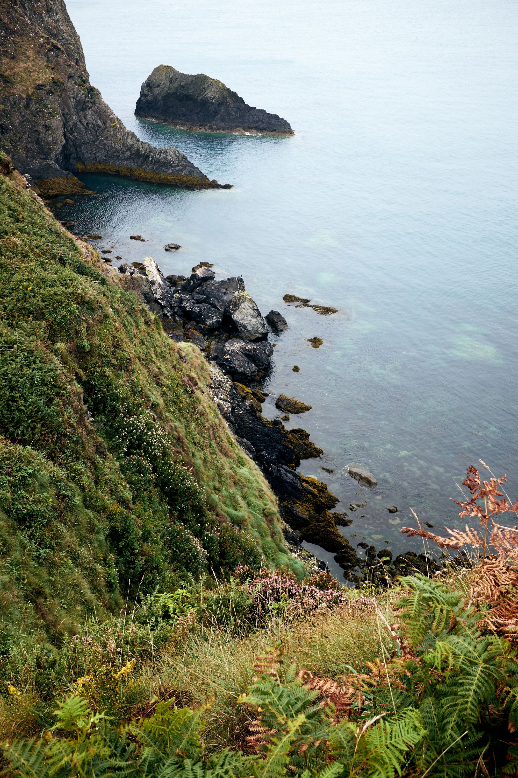 trefin cliff path