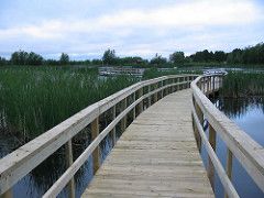 Walkway in Sackville, New Brunswick