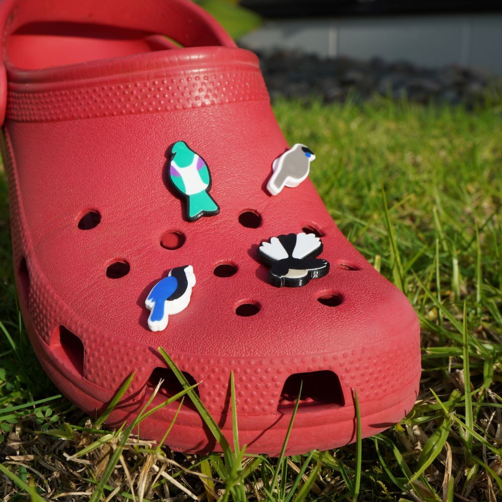 Four Jibbirdz on a croc