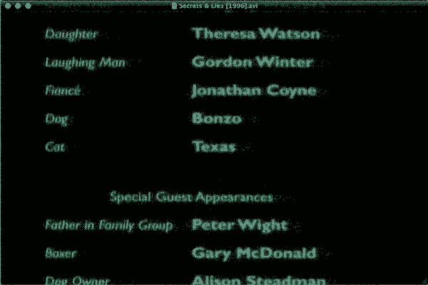 The Cat is Named after Texas