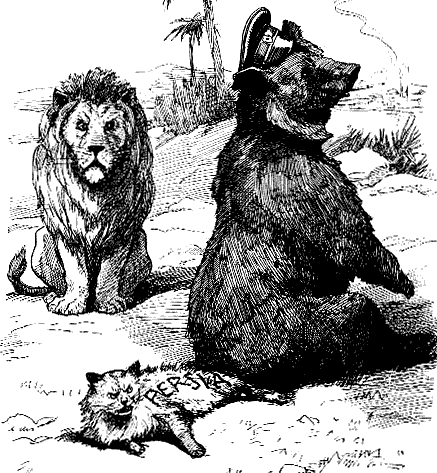 The Bear Sits on the Cat and the Lion is Angry