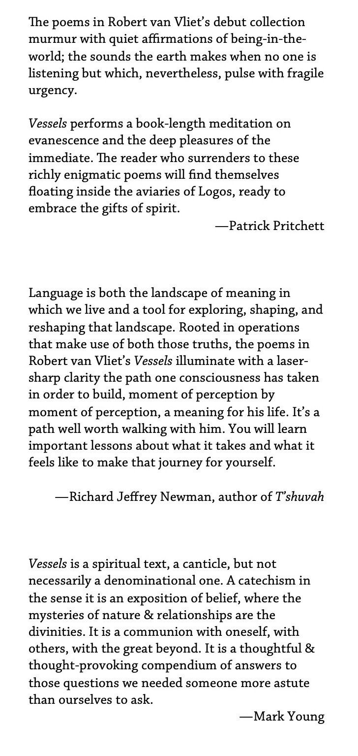 The poems in Robert van Vliet's debut collection murmur with quiet affirmations of being-in-the-world; the sounds the earth makes when no one is listening but which, nevertheless, pulse with fragile urgency. Vessels performs a book-length meditation on evanescence and the deep pleasures of the immediate. The reader who surrenders to these richly enigmatic poems will find themselves floating inside the aviaries of Logos, ready to embrace the gifts of spirit. —Patrick Pritchett ¶ Language is both the landscape of meaning in which we live and a tool for exploring, shaping, and reshaping that landscape. Rooted in operations that make use of both those truths, the poems in Robert van Vliet's Vessels illuminate with a laser-sharp clarity the path one consciousness has taken in order to build, moment of perception by moment of perception, a meaning for his life. It's a path well worth walking with him. You will learn important lessons about what it takes and what it feels like to make that journey for yourself. —Richard Jeffrey Newman ¶ Vessels is a spiritual text, a canticle, but not necessarily a denominational one. A catechism in the sense it is an exposition of belief, where the mysteries of nature & relationships are the divinities. It is a communion with oneself, with others, with the great beyond. It is a thoughtful & thought-provoking compendium of answers to those questions we needed someone more astute than ourselves to ask. —Mark Young