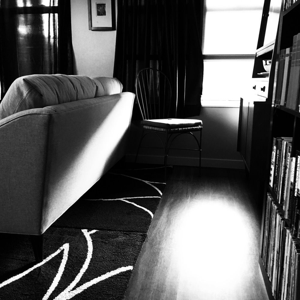 afternoon light throuogh an open window, slanting against a couch and a bookshelf, and reflecting off the hardwood floor beside a rug