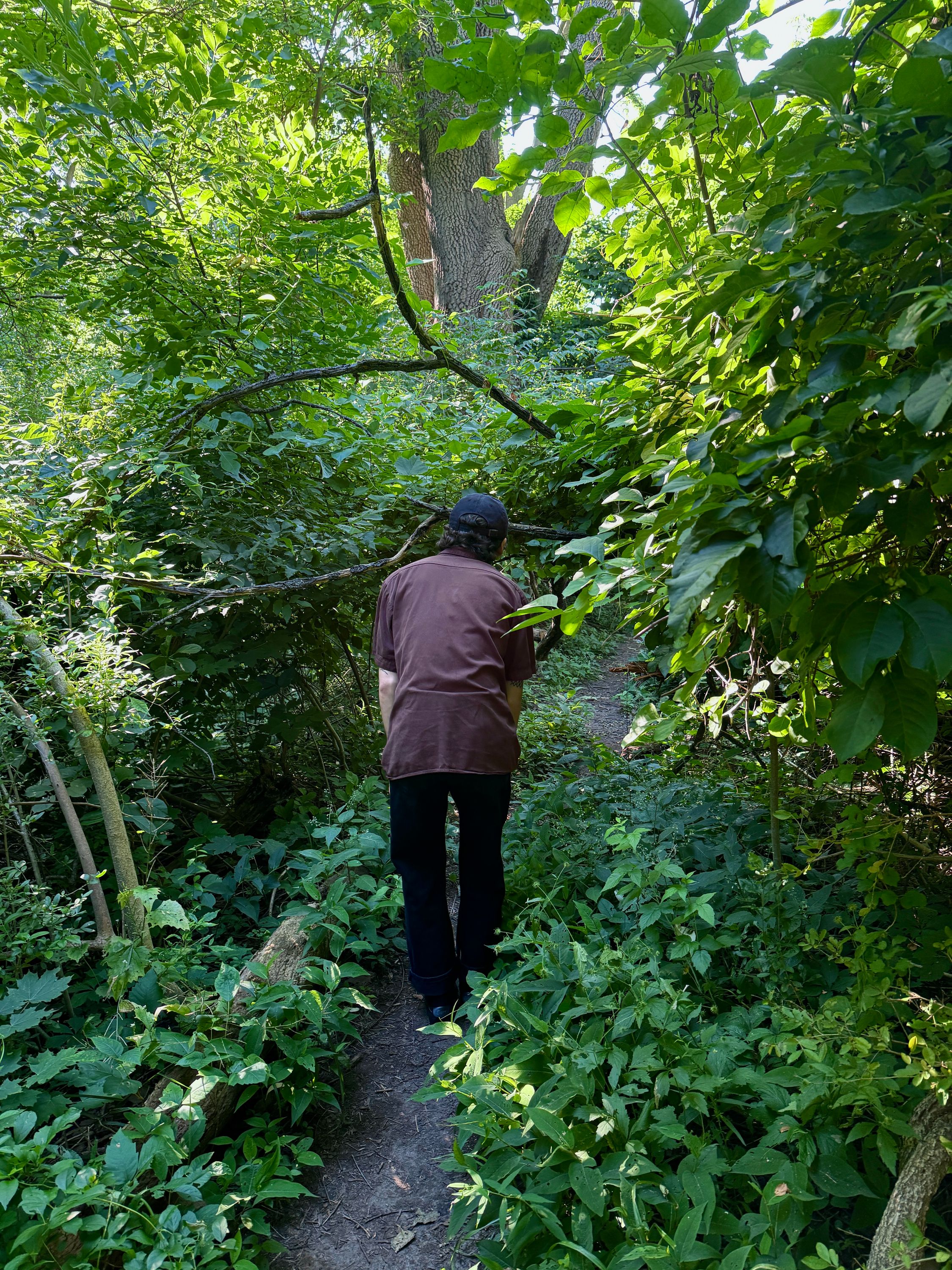 carter in cat forest