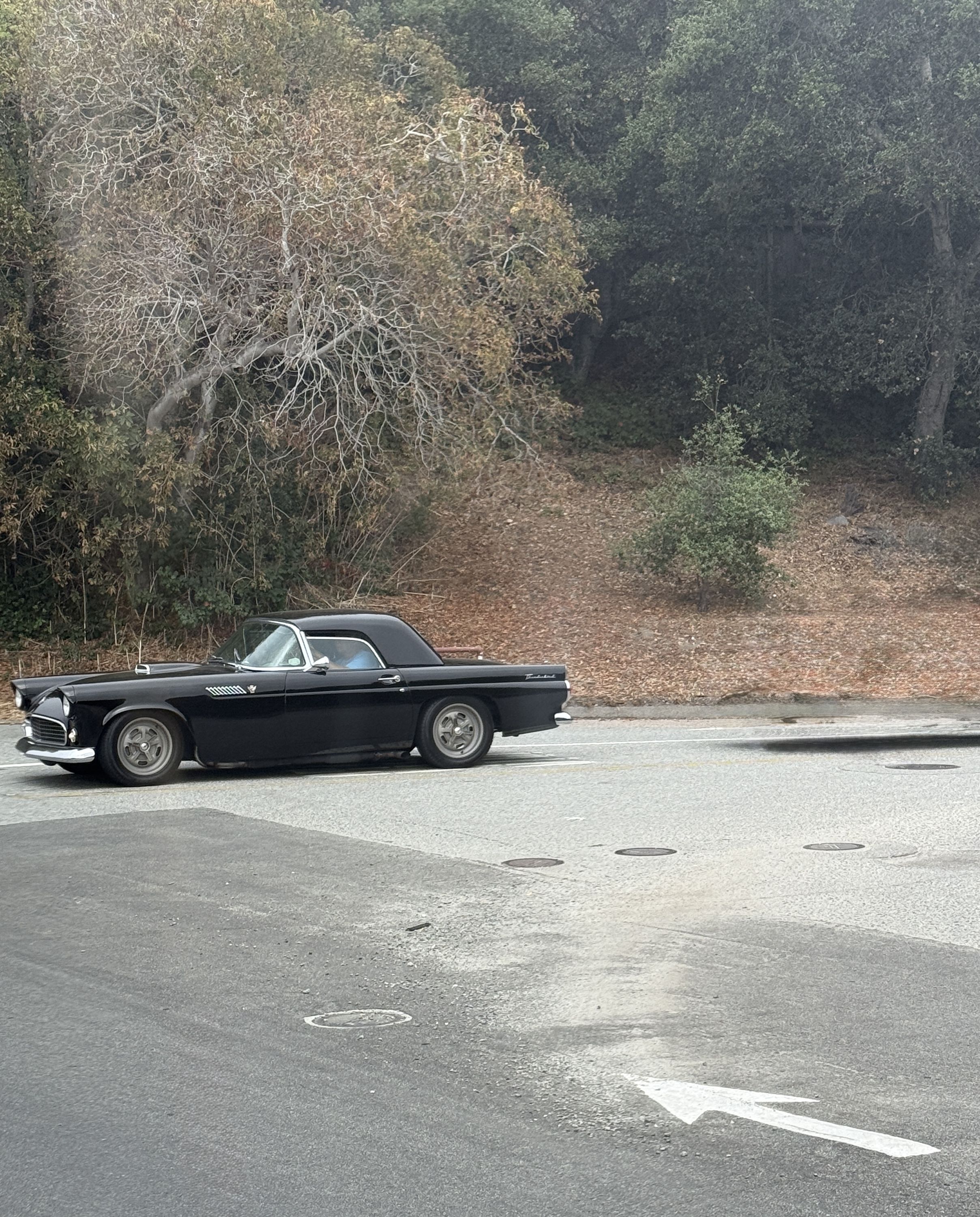 t-bird streets Seyth Miersma