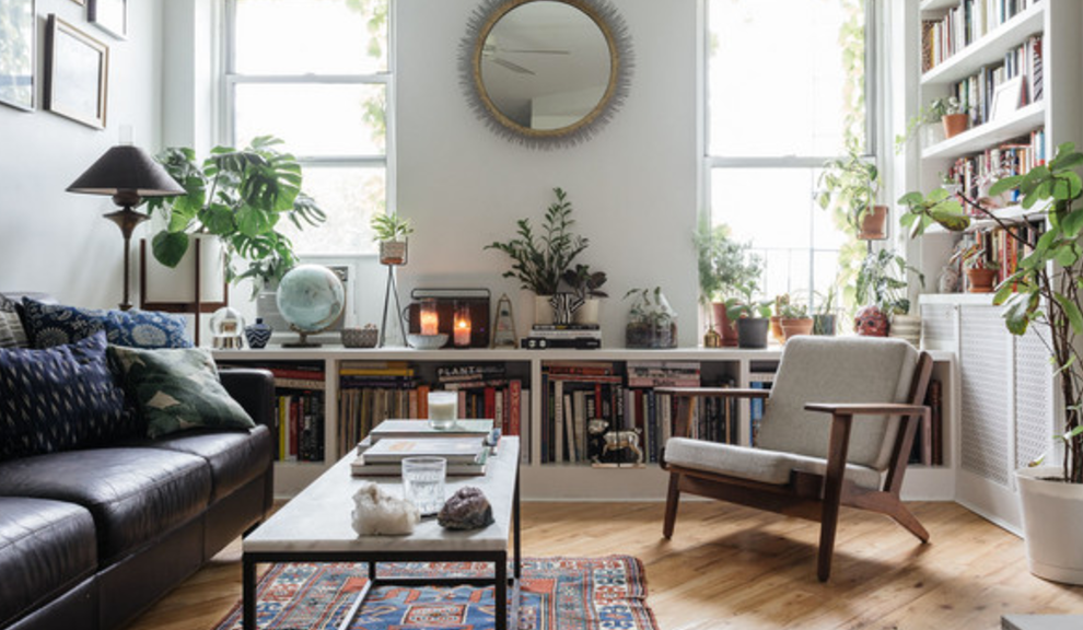 apartment [plants][shelves][living room]