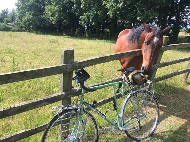 Chewing on the saddlebag