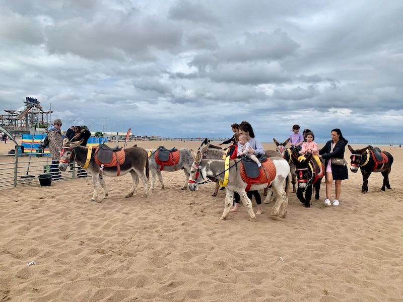 Donkey rides at Skegness