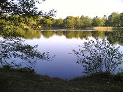 Kobberdam, Hellebækhegn, Denmark