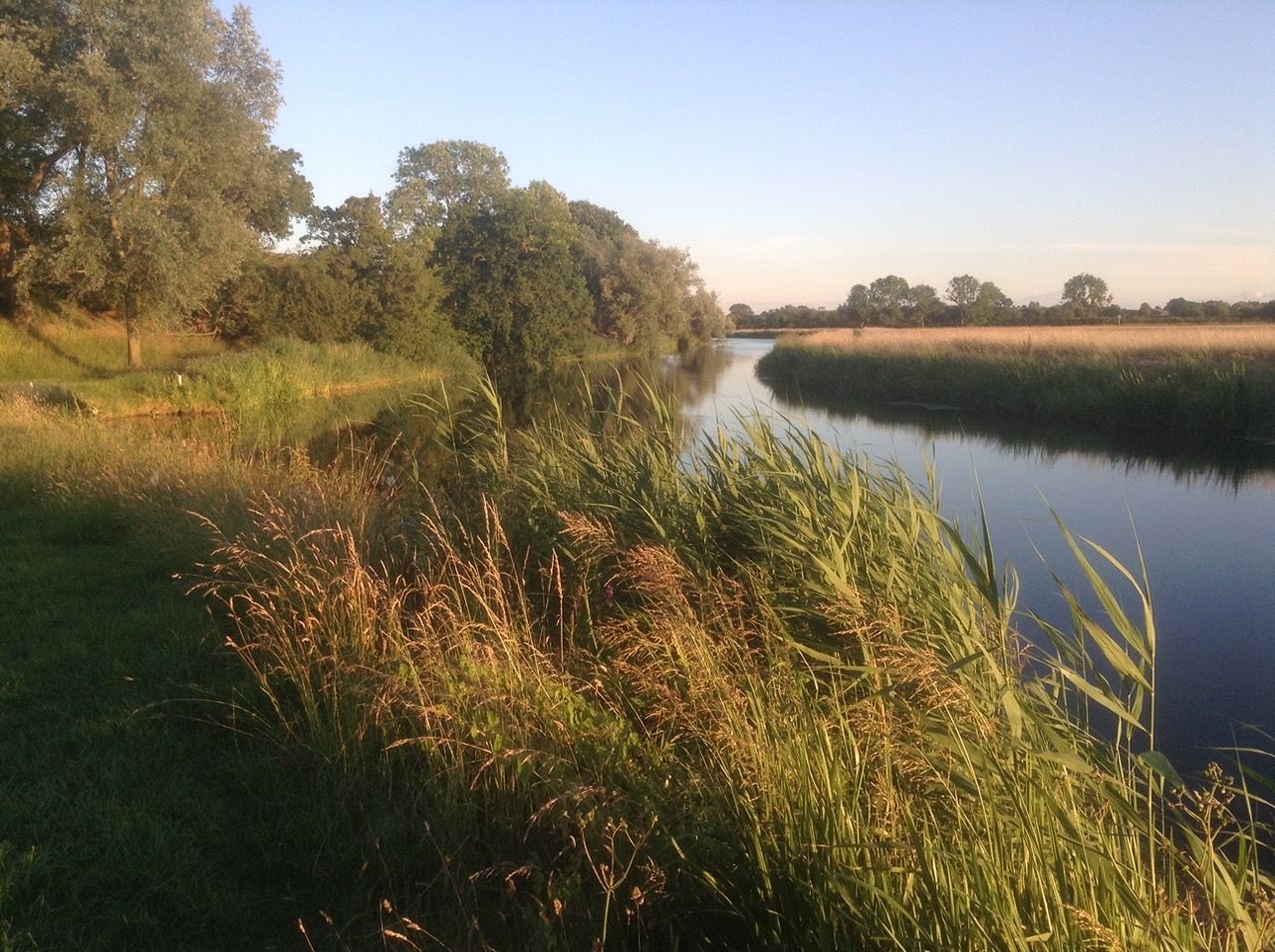 Nene at Fotheringhay