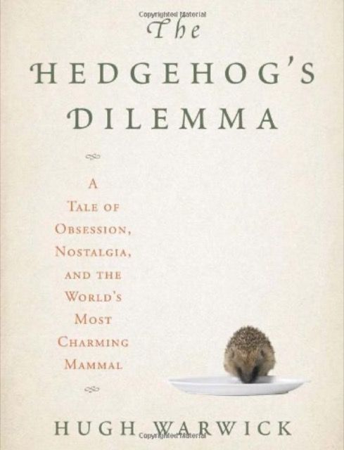 The Hedgehog’s Dilemma: A tale of obsession, nostalgia, and the world’s most charming mammal