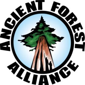 Ancient Forest Alliance logo