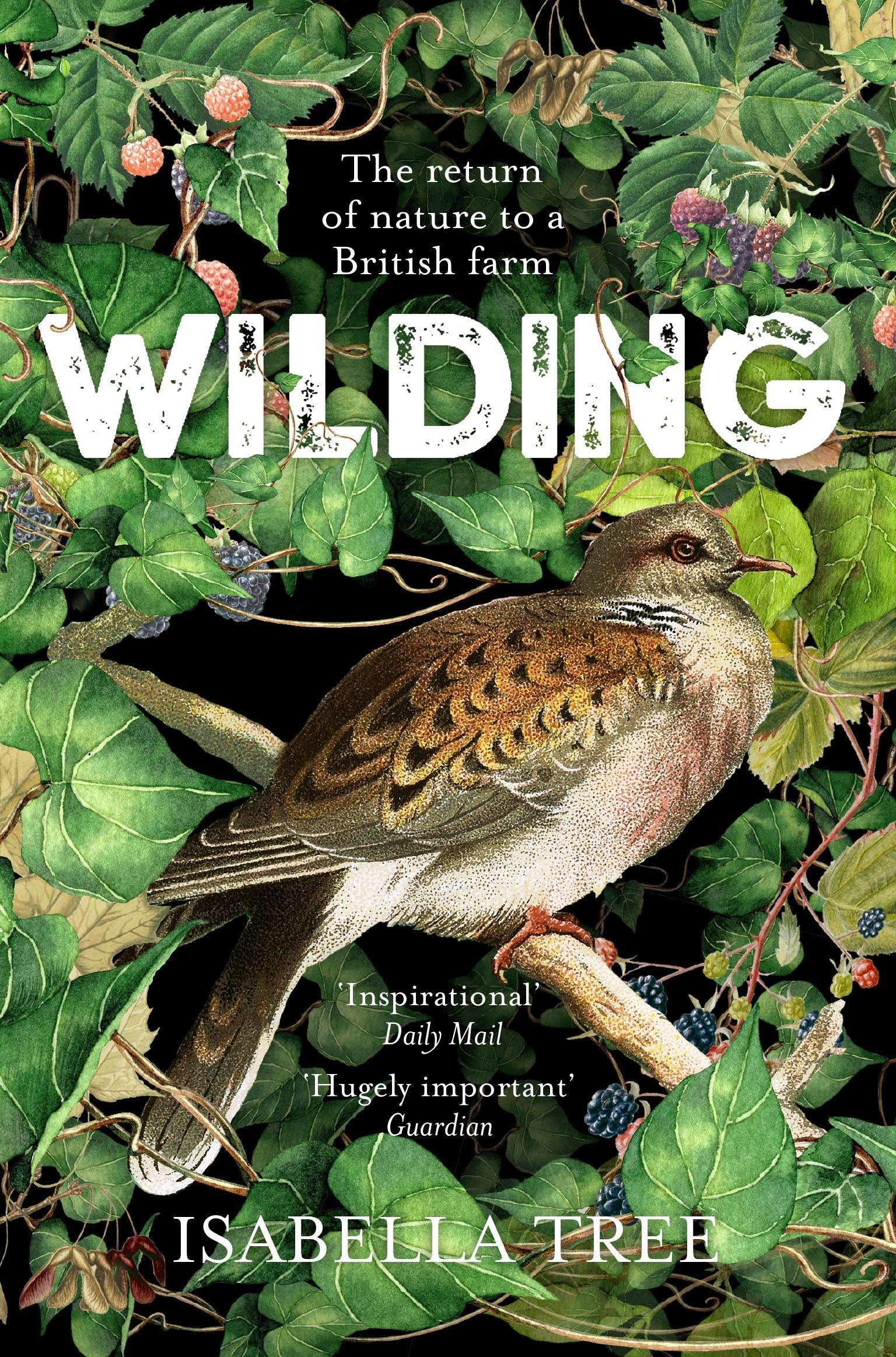 Wilding: The return of nature to a British farm