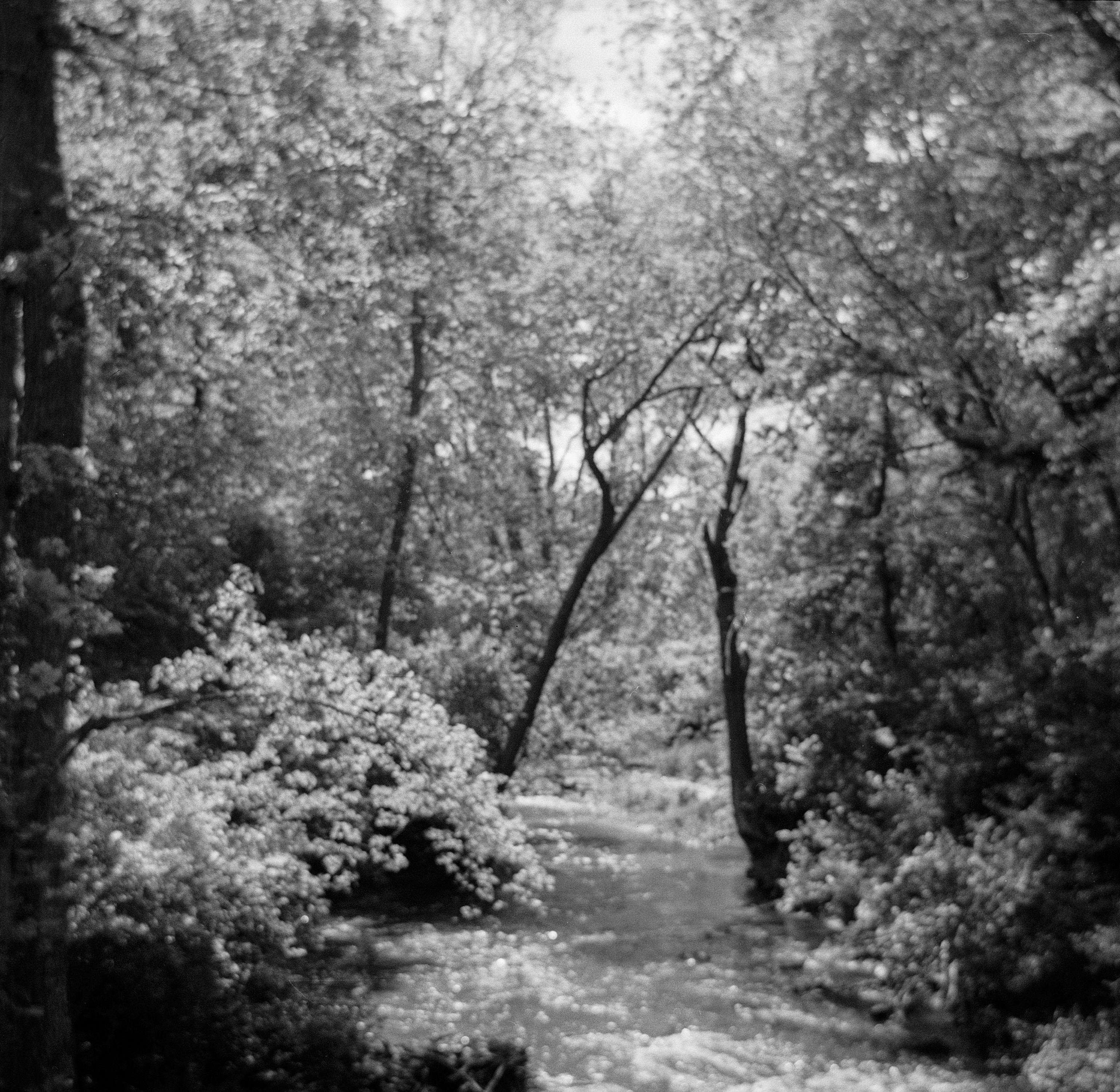 Oct 14, 2024 | EPSON | Perfection V600 |-3