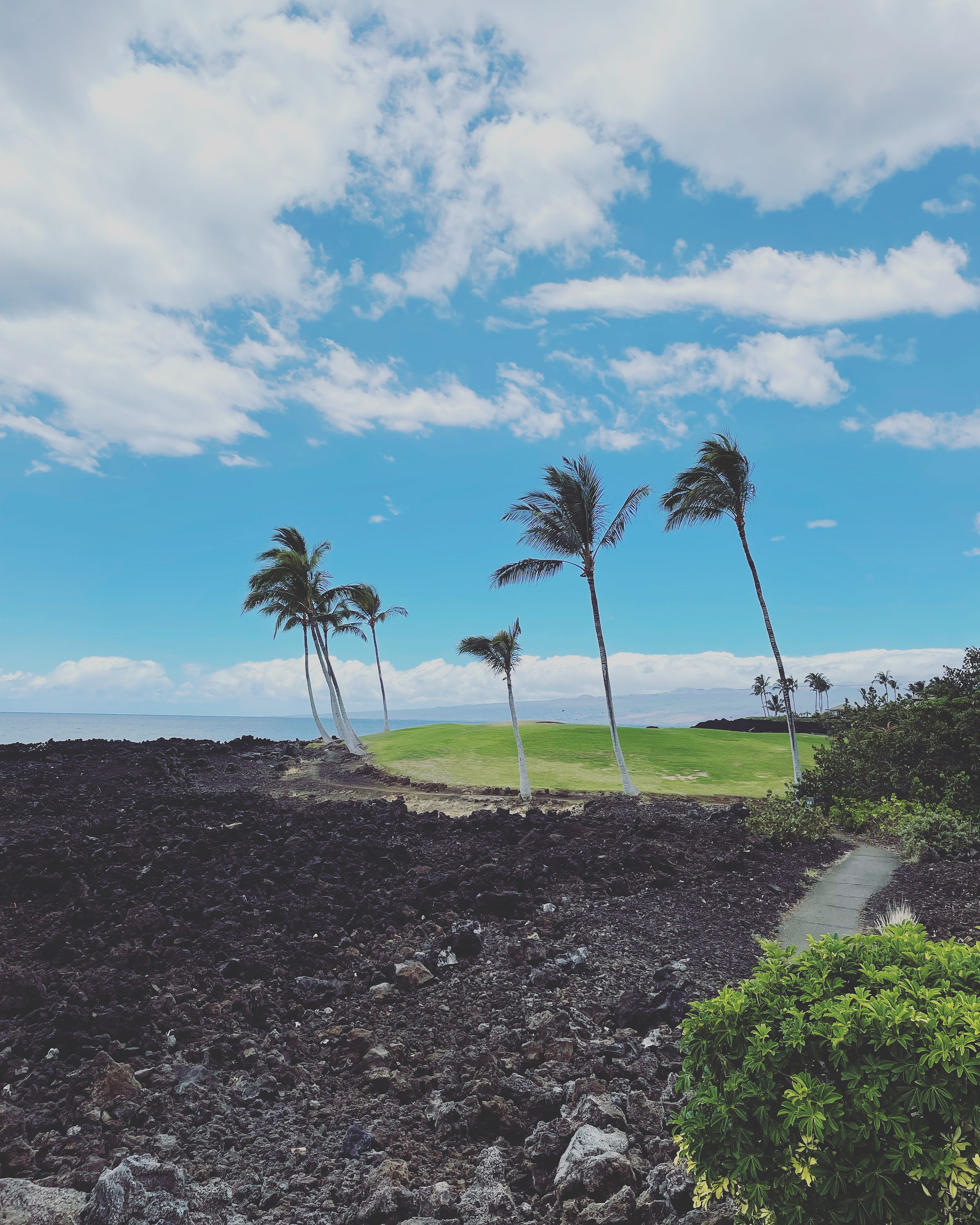 The Big Island
