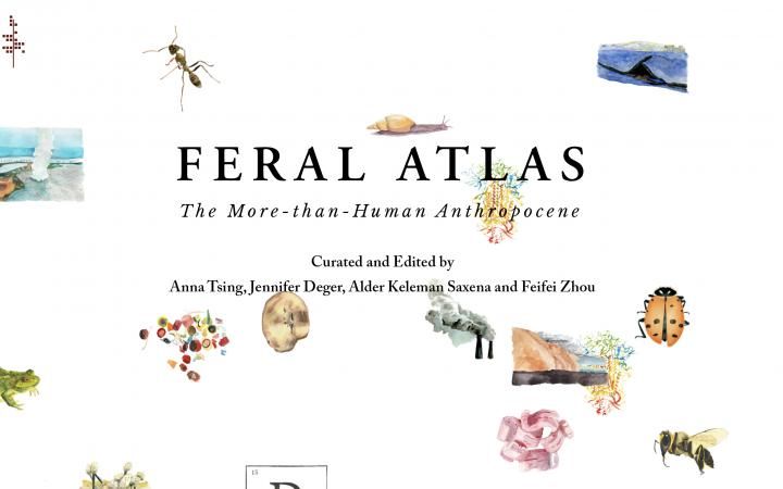 O Feral Atlas da Anna Tsing