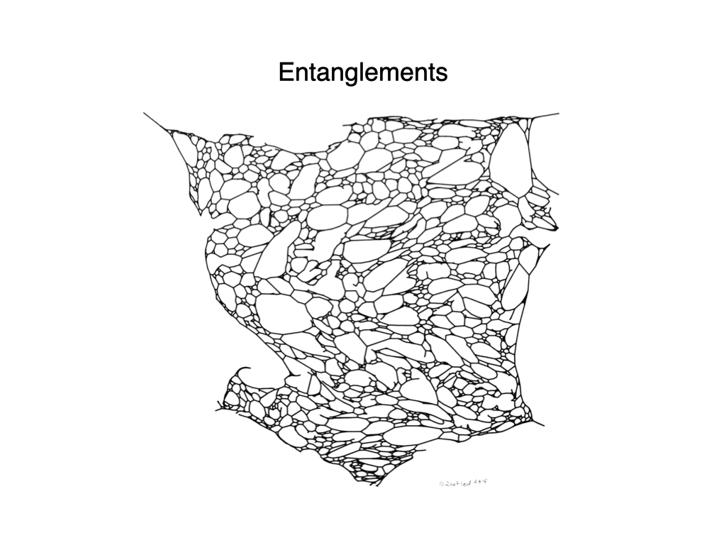 Slide: entanglements
