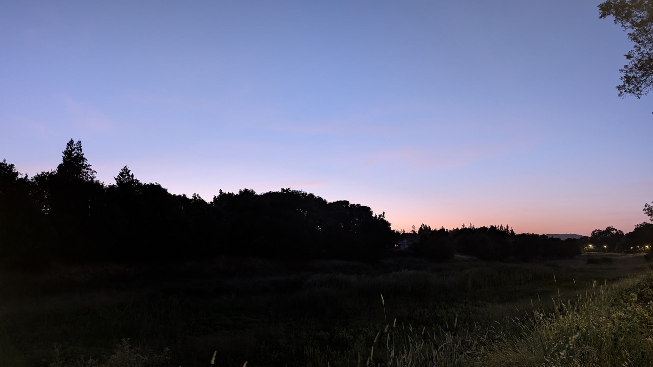 Dusk; Healdsburg, CA (27 May, 2025)