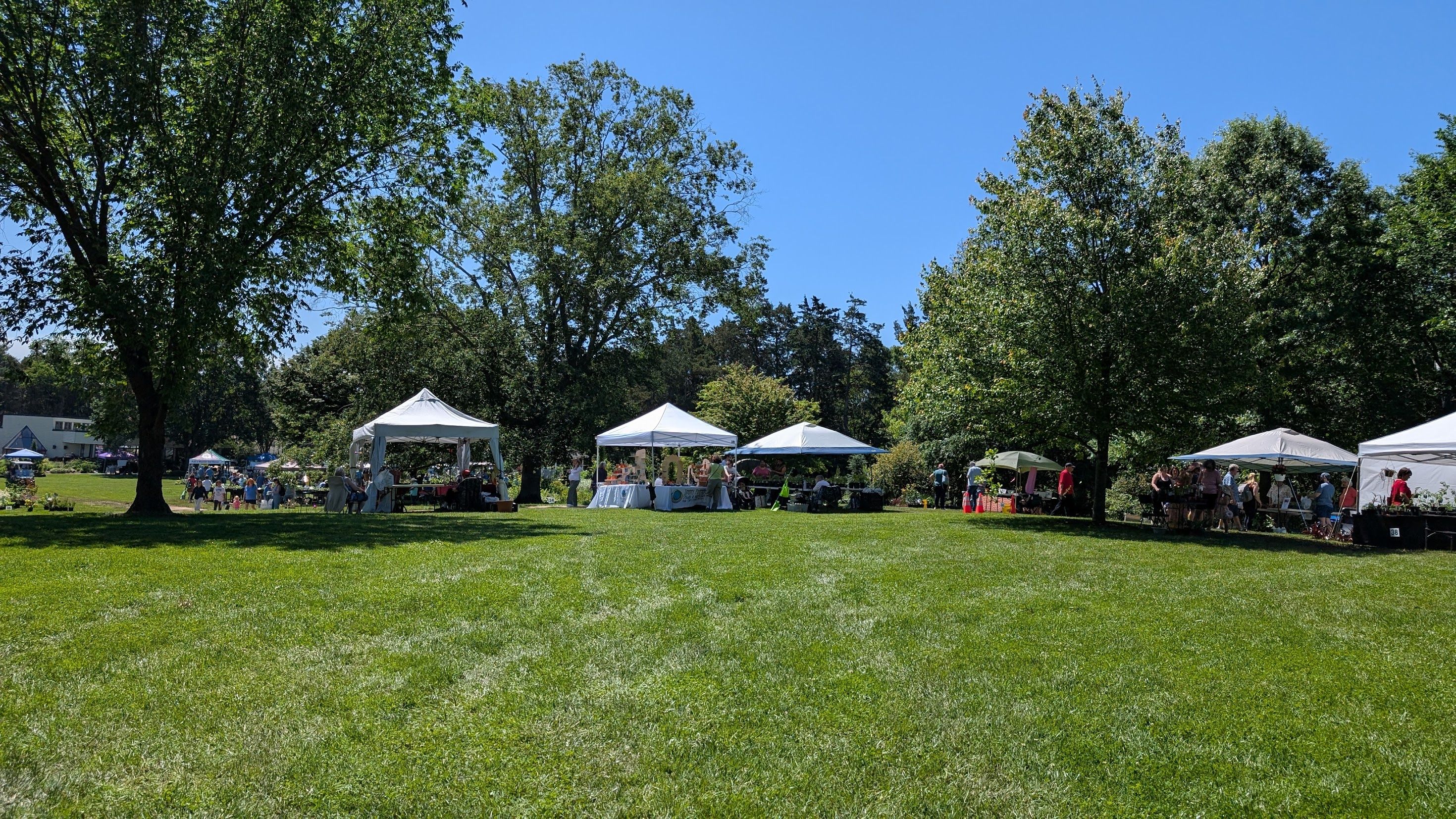 Late morning with plant-fanciers at Green Spring Gardens; Alexandria, VA (17 May, 2025)
