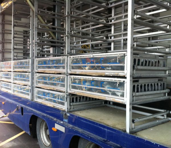 Crates & drinking system on the NFC transporter