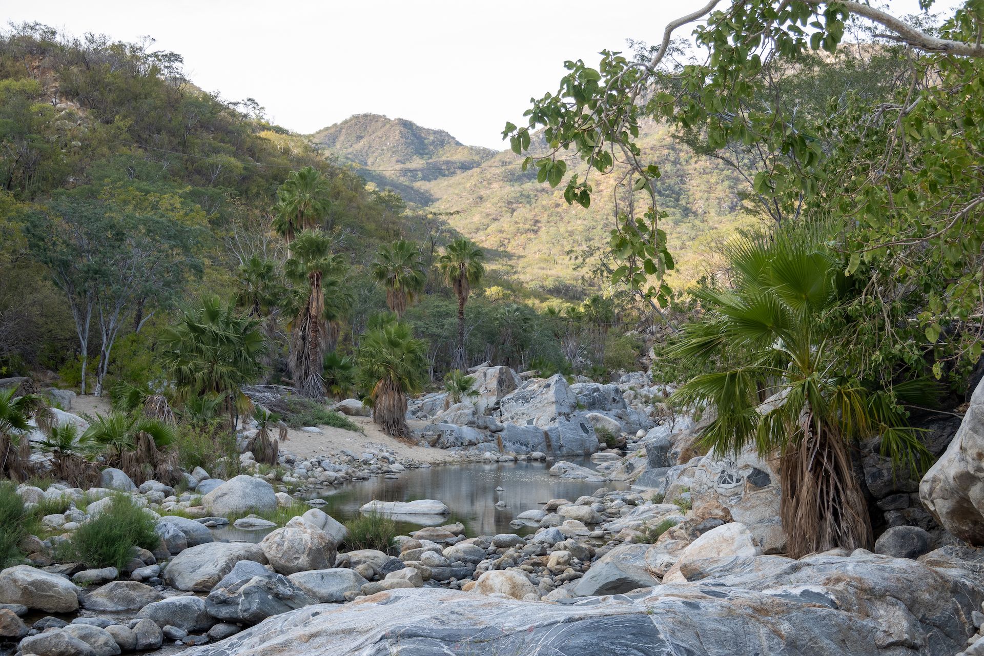 We hiked past the fall to find beautiful and luxuriant vegetation.