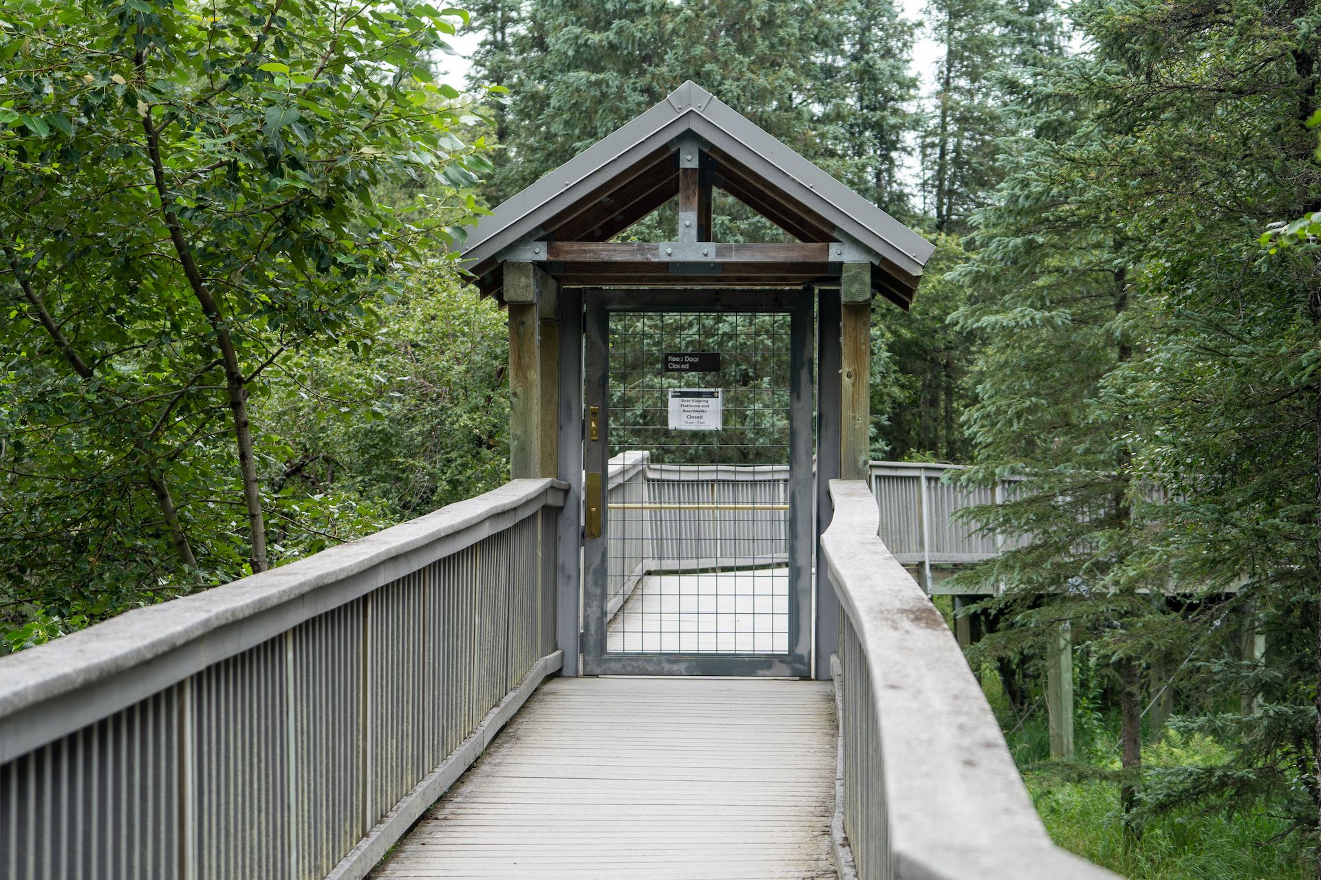 Multiple gates are installed on the bridge to prevent the bears from passing from one section to an another.