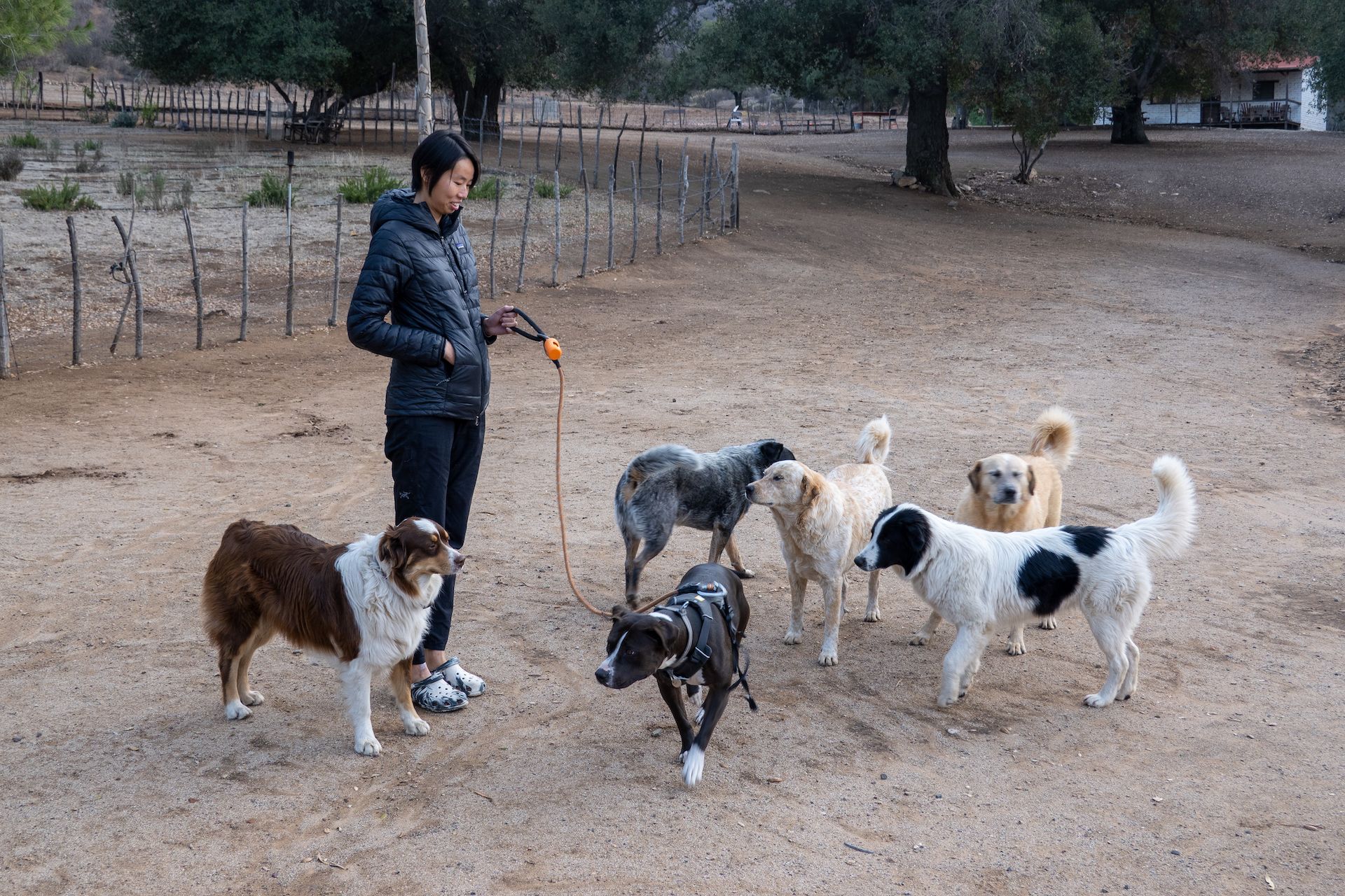 Margo and her new friends at the ranch