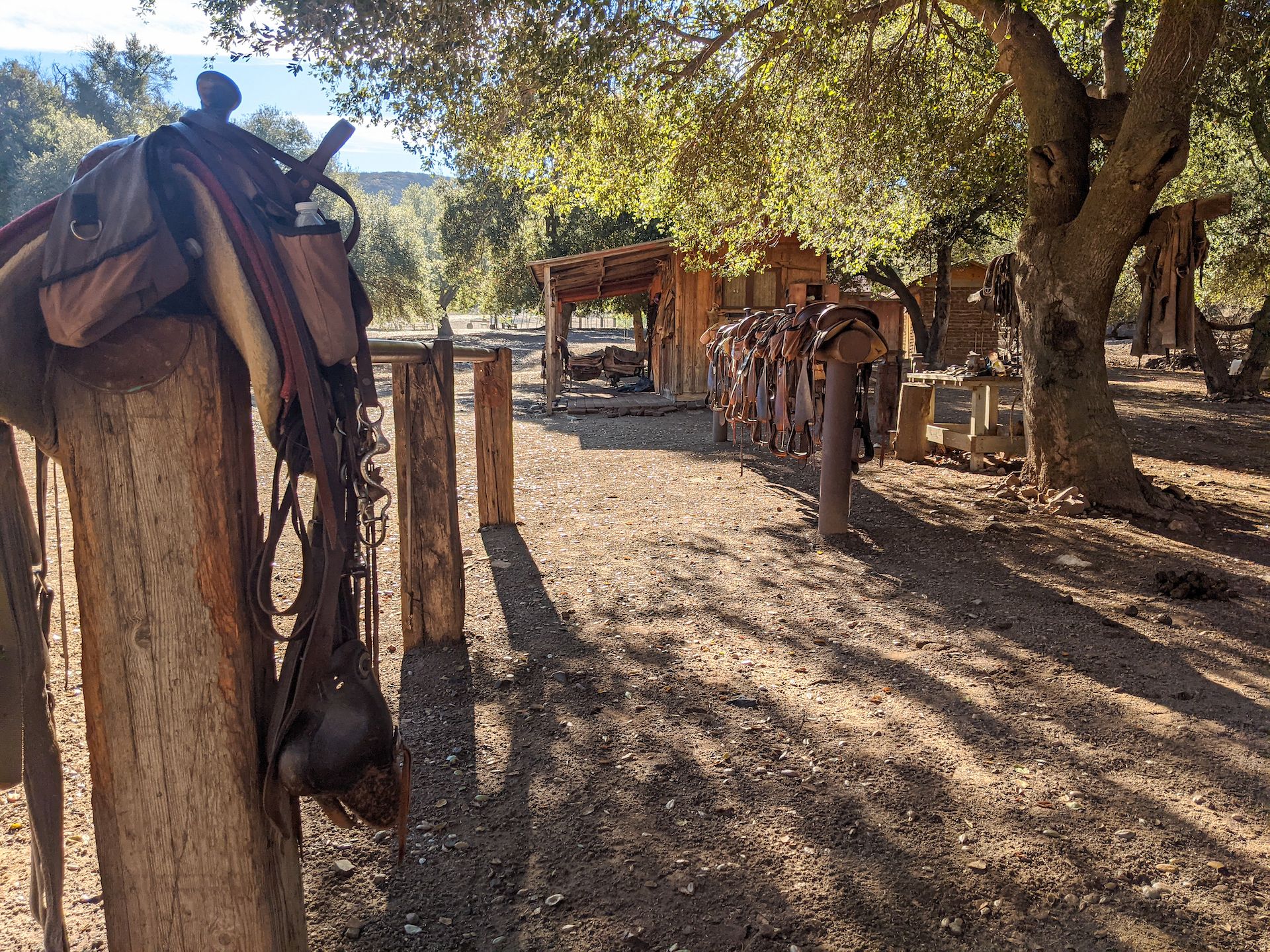 Saddles under the morning light