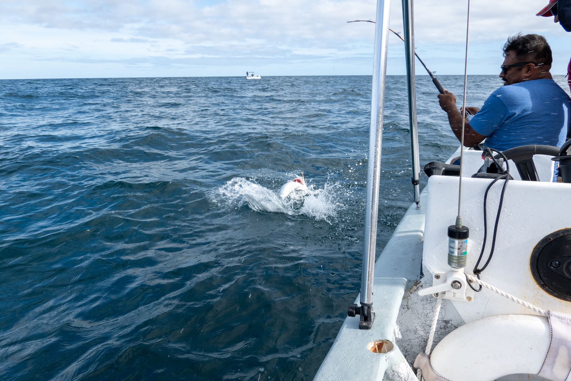 The father of the Mexican family catching a big Yellowtail