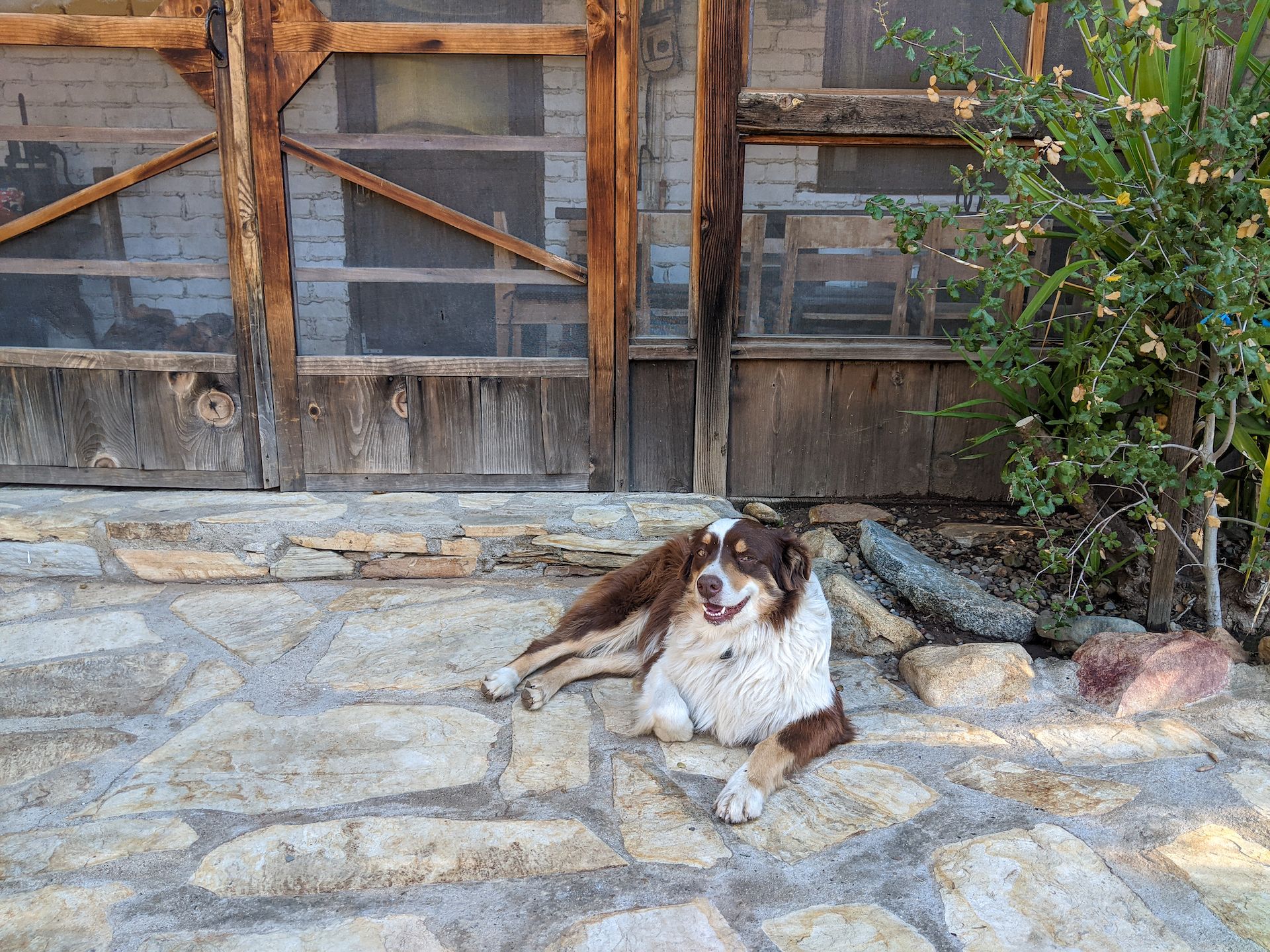 Abby in front of the lodge