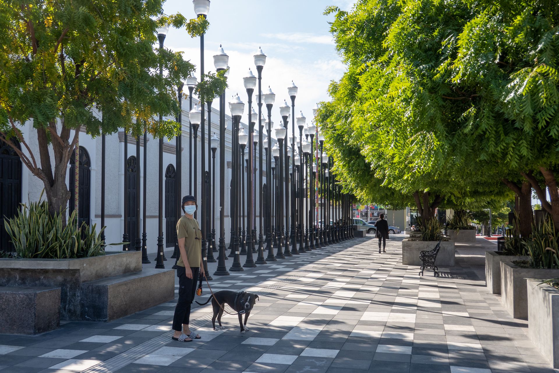 Behind the National Museum of Art, the only art museum in Baja