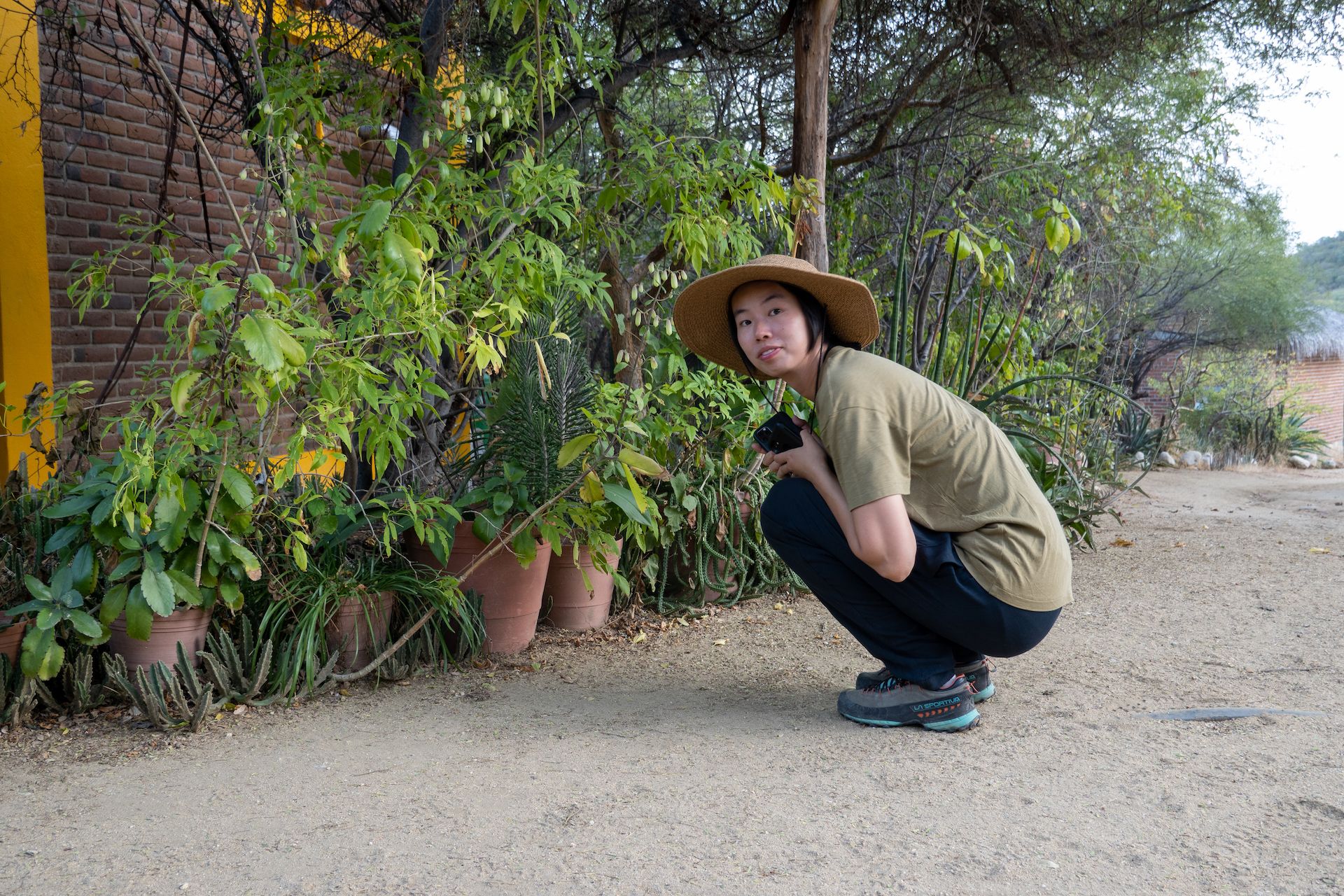 Observing the plants and flowers