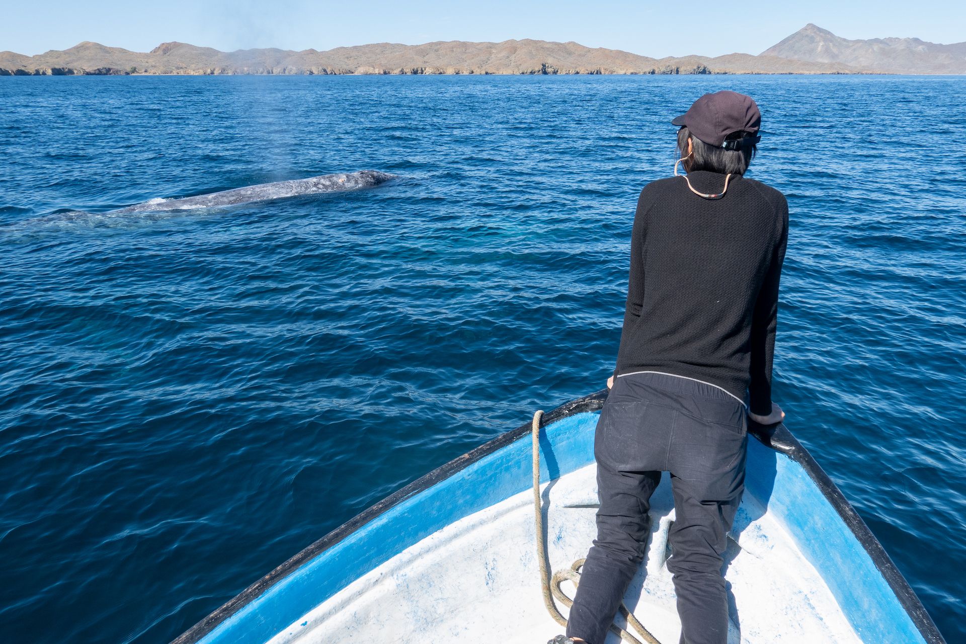 Kuan looking at a friendly whale