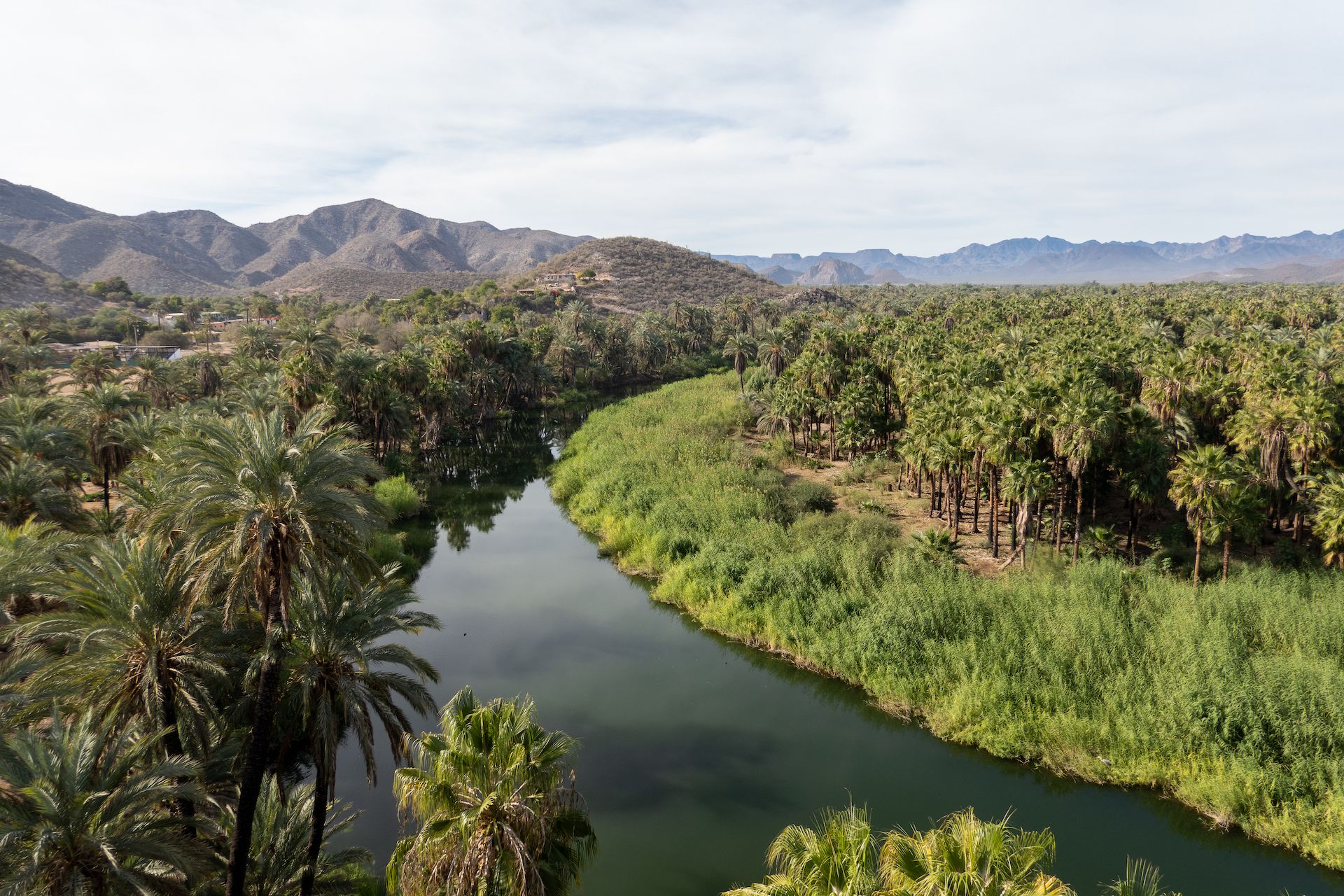 View of the river and the oasis at the Misíon