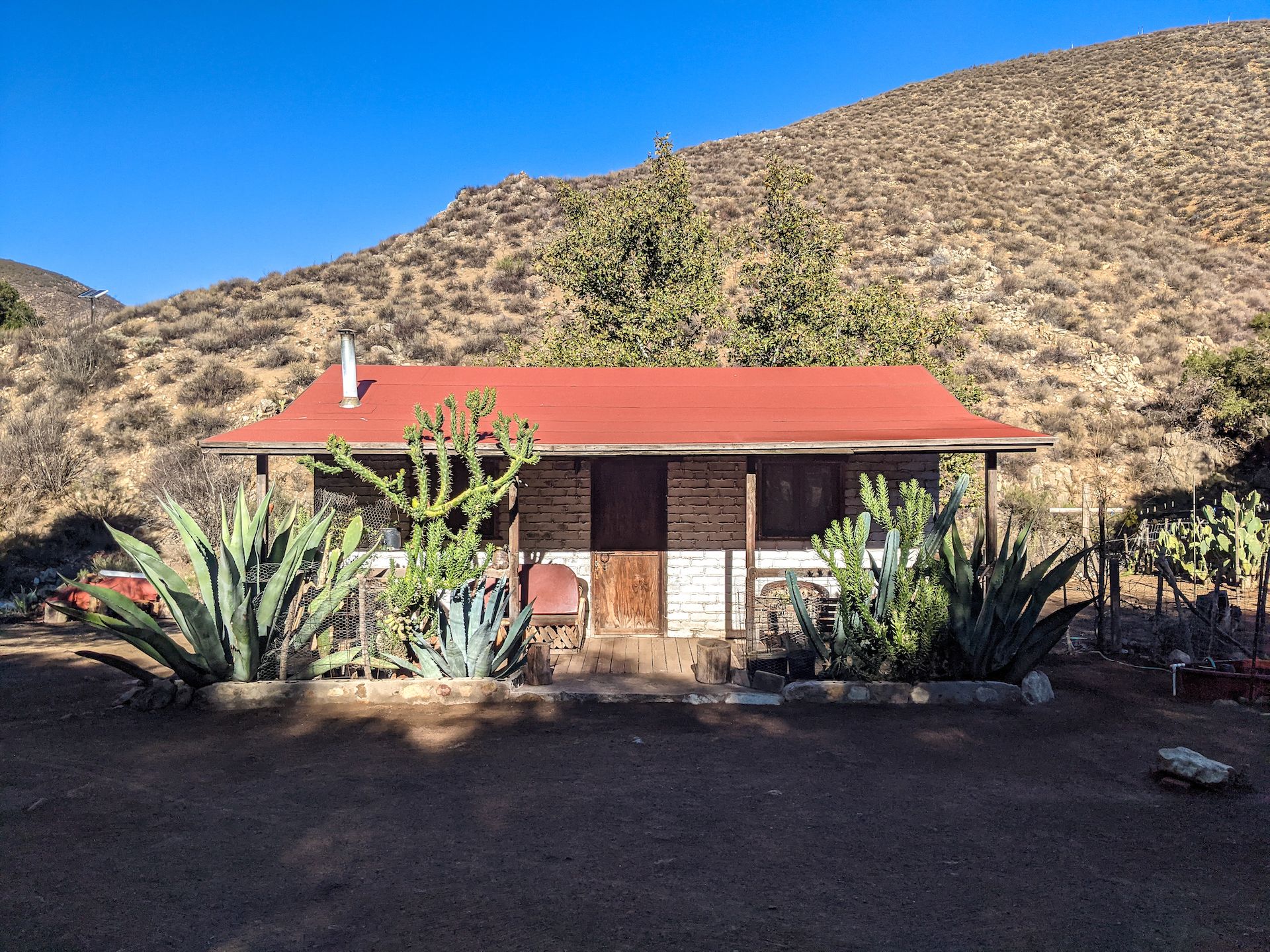 Alberto’s cabin looks lush with the plants