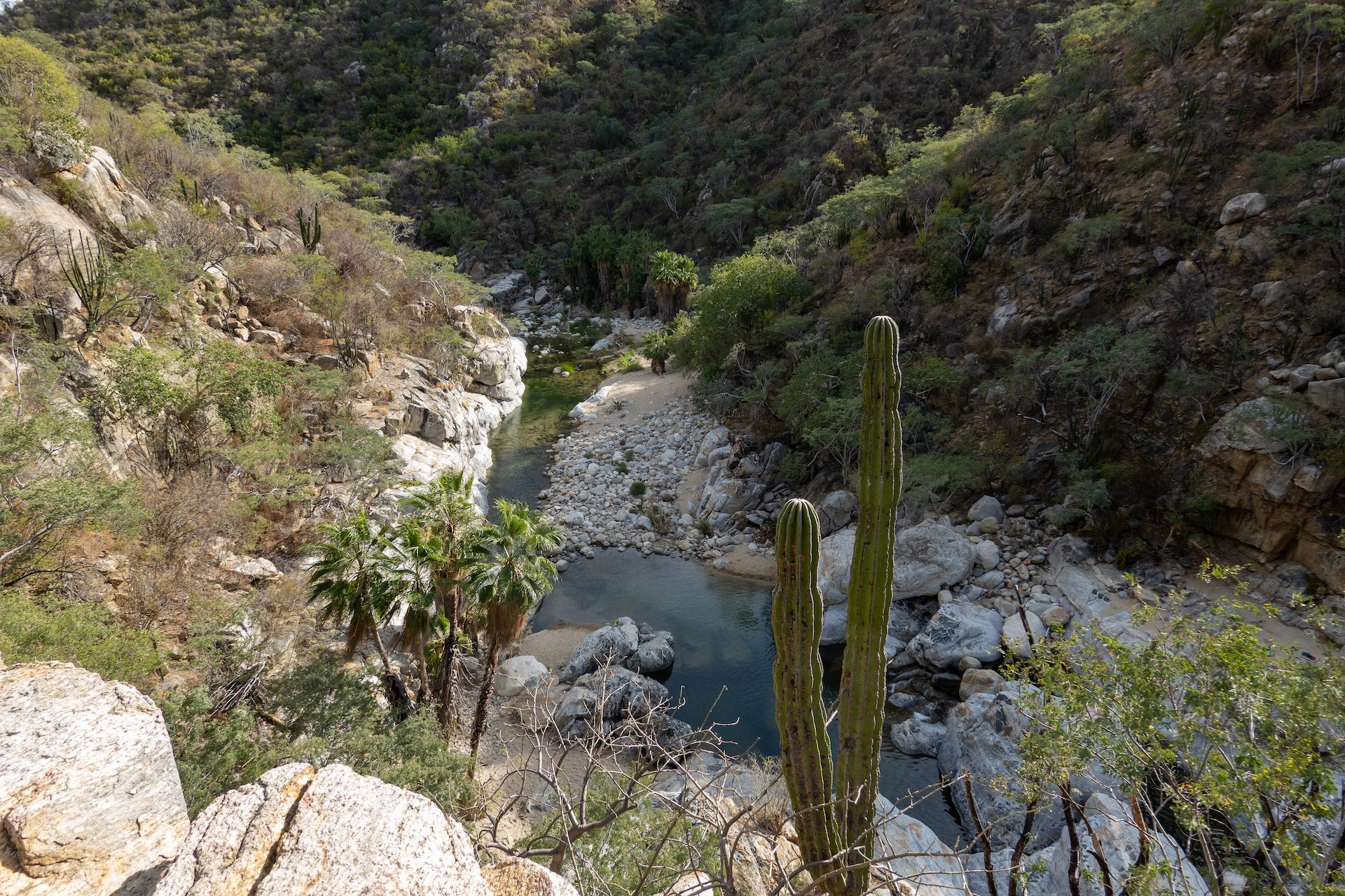 Looking back at the canyon