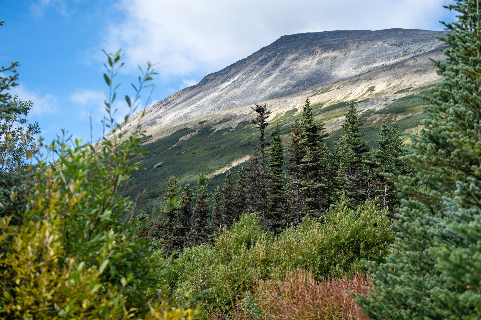 The mountains south of Whitehorse