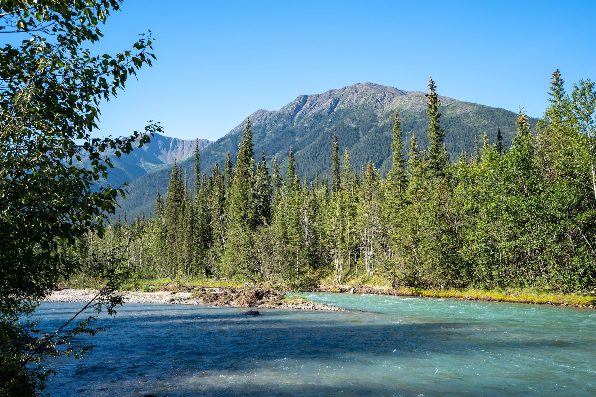 View from camp in British Columbia