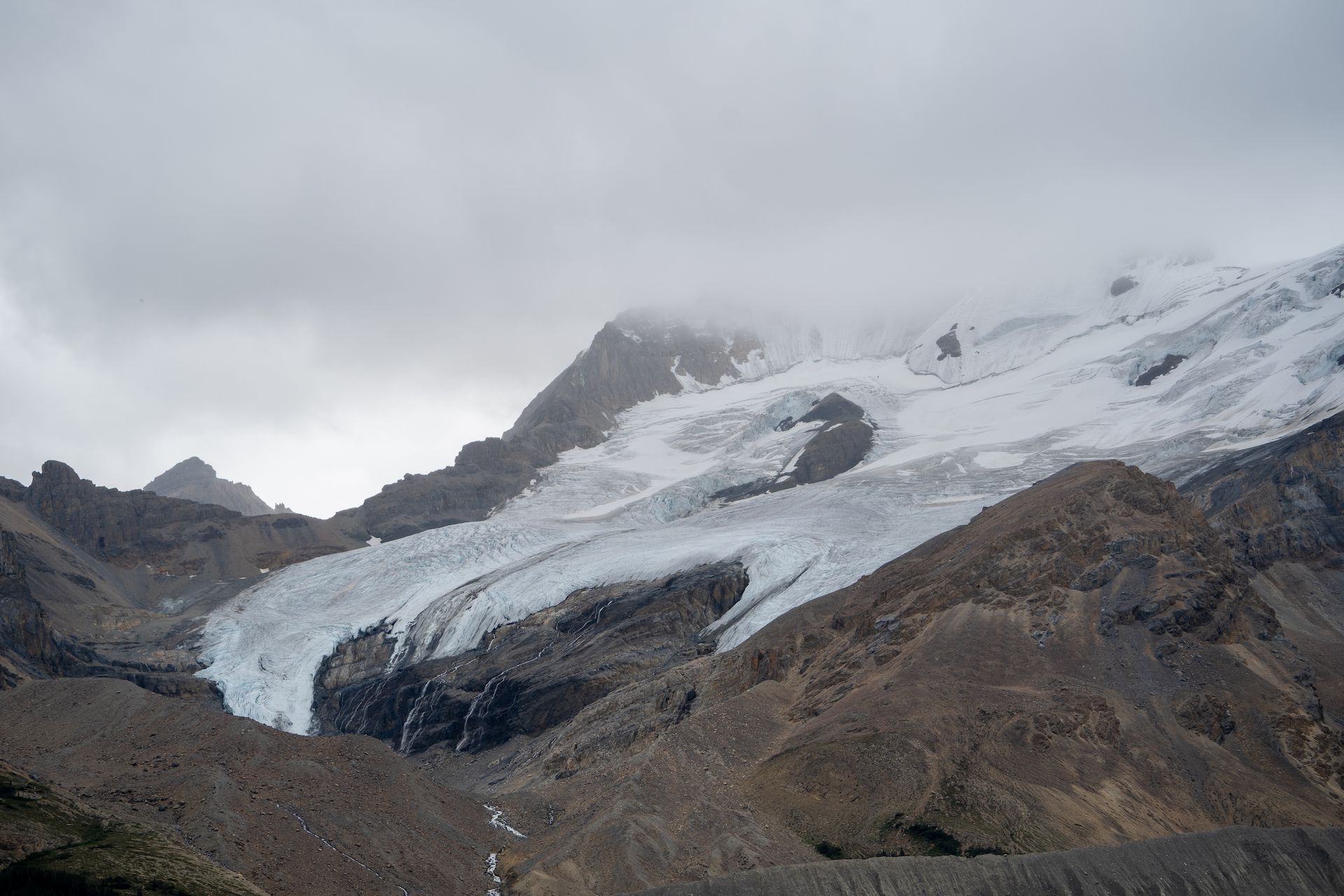 Even though we lost count of how many glaciers we saw this summer, it’s always a happy sight!