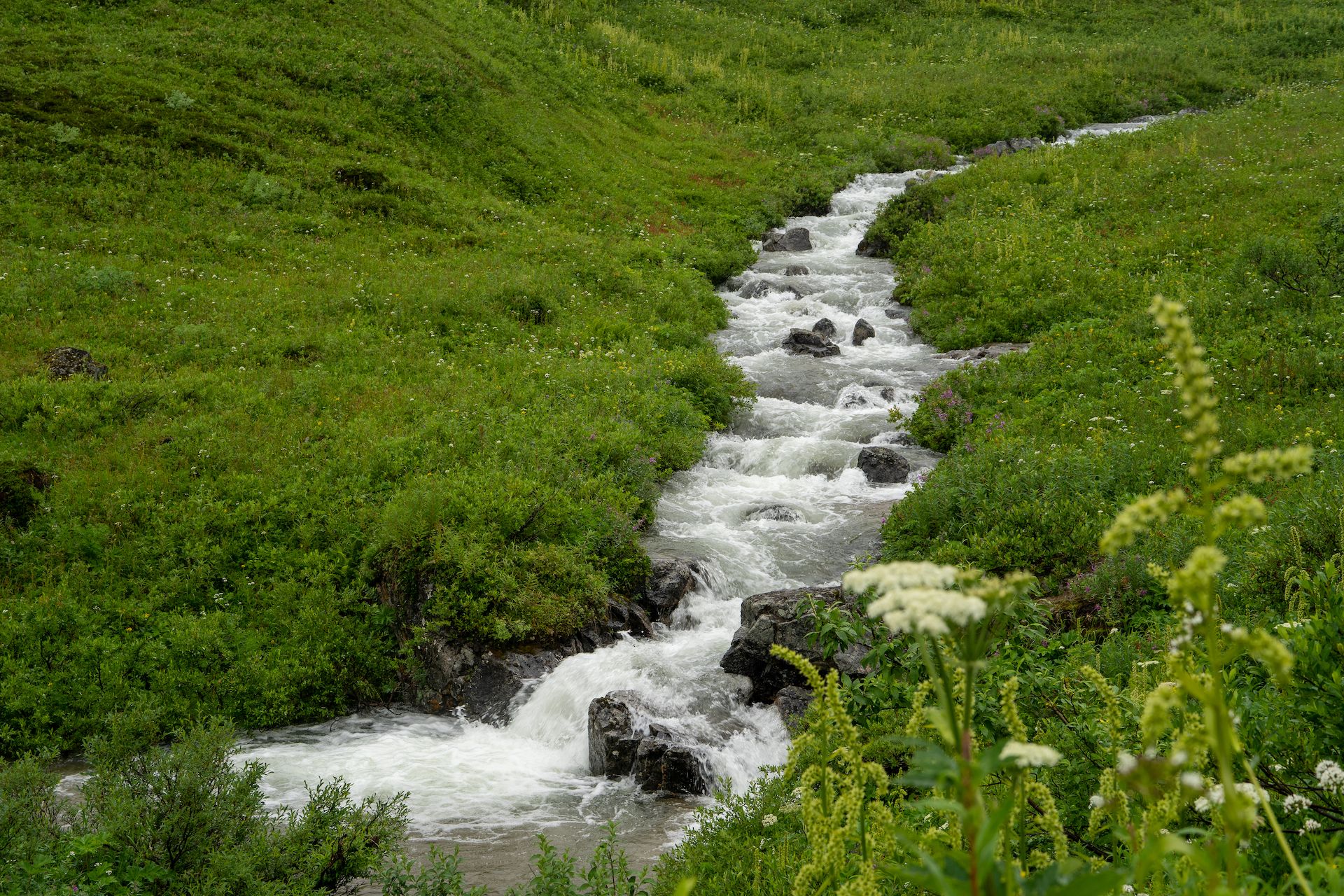 A small creek running by the road