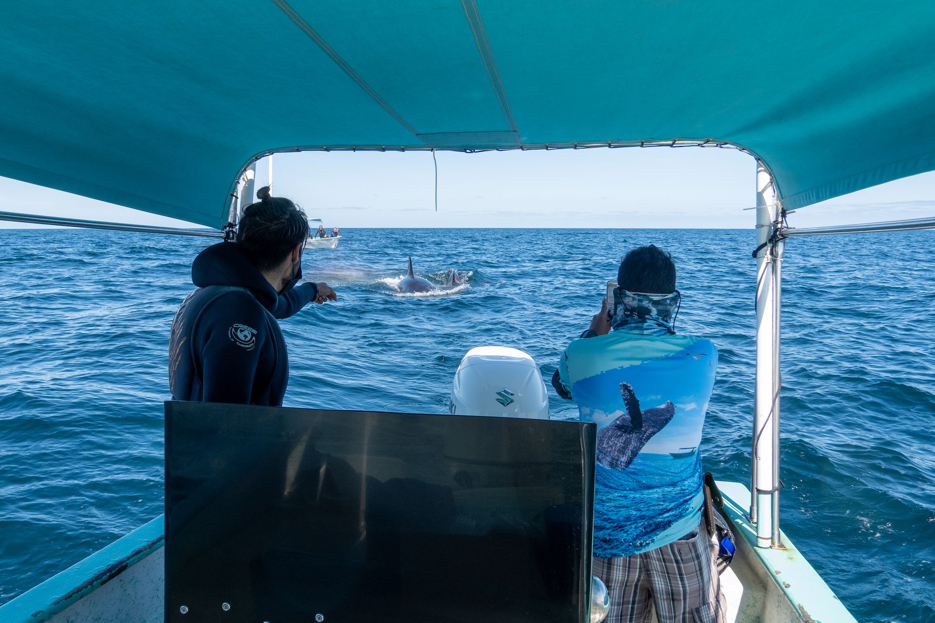 Jamil and Kiki, the captain, were so excited to have killer whales following our boat!